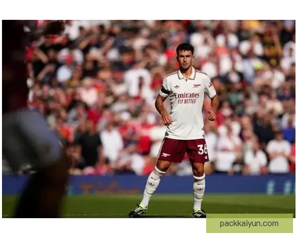 英超阿森纳青训 英超阿森纳青训