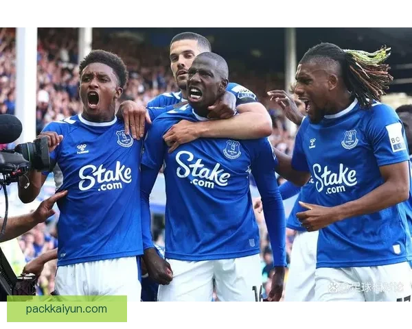 埃弗顿近期状态回暖，竞争力增强引发关注