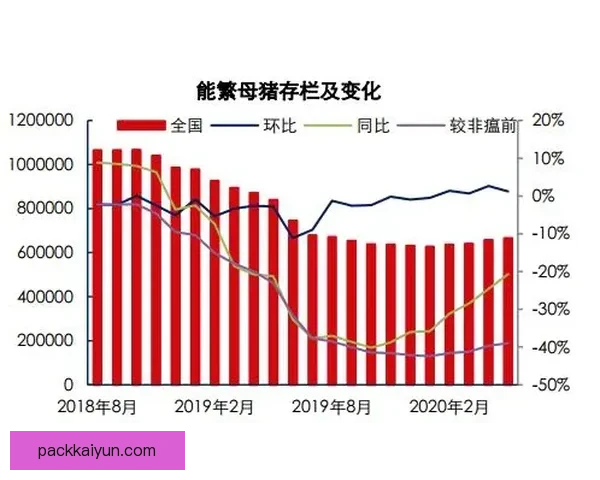 纽伦堡近期攻防平衡，表现稳健值得关注