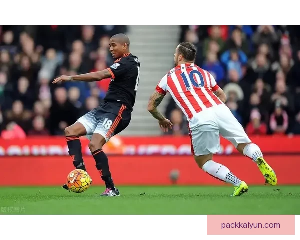 斯托克城夏季清理名单公布，球队布局调整引发关注